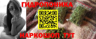 индика Абинск