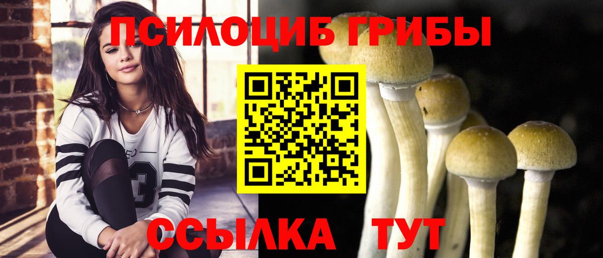 Альметьевск  Галлюциногенные грибы Magic Shrooms  Вход с VPN 